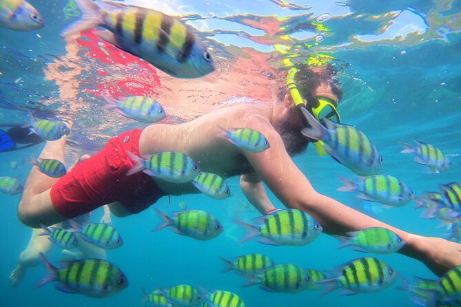 Best of Phi Phi Islands Snorkeling Tour from Phuket - Viking Cave: history narrated as you pass the spot