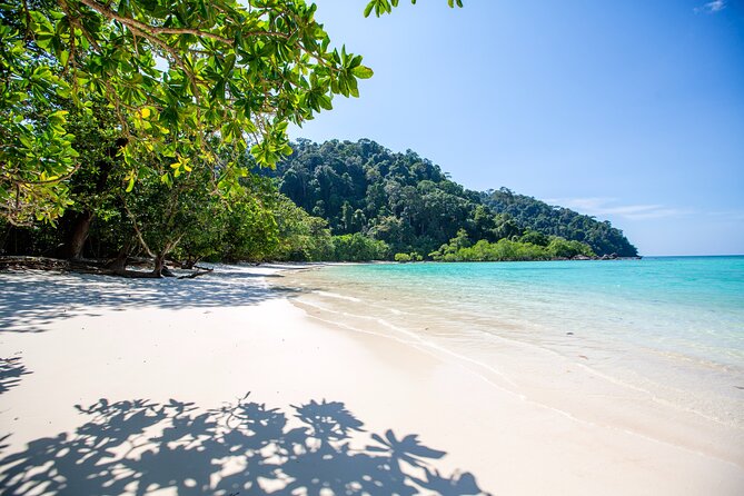 Best Seller - Surin Islands Snorkeling Trip from Khao Lak - Mu Ko Surin National Park: lunch plus the main reef time