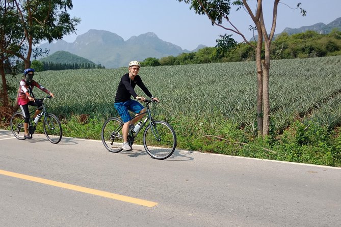 Bicycle Tour - Dolphin Bay and Khao Khalok Tour - Price and What You Really Get for $136.97