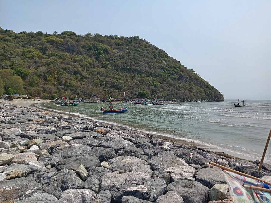 Bicycle Tour - Dolphin Bay and Khao Khalok Tour - Lunch on the Ride: Cold Fruit, Fresh Coconuts, and Real Energy