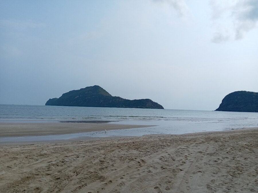 Bicycle Tour - Dolphin Bay and Khao Khalok Tour - Should You Book This Bicycle Tour in Hua Hin?