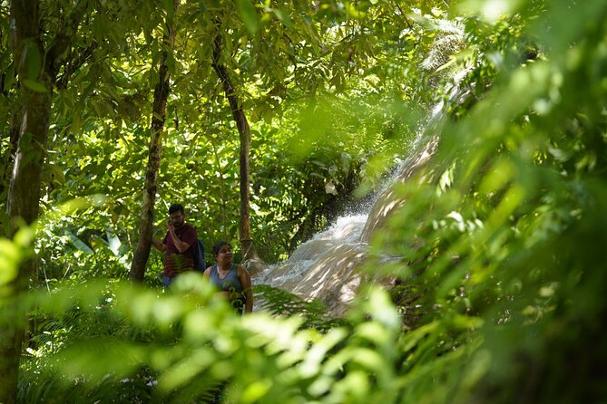 Bua Tong Waterfall Adventure& Huge Cave included Thai Buffet Tour - Huge Bua Tong Cave: legend, climbing, and why the stop is quick