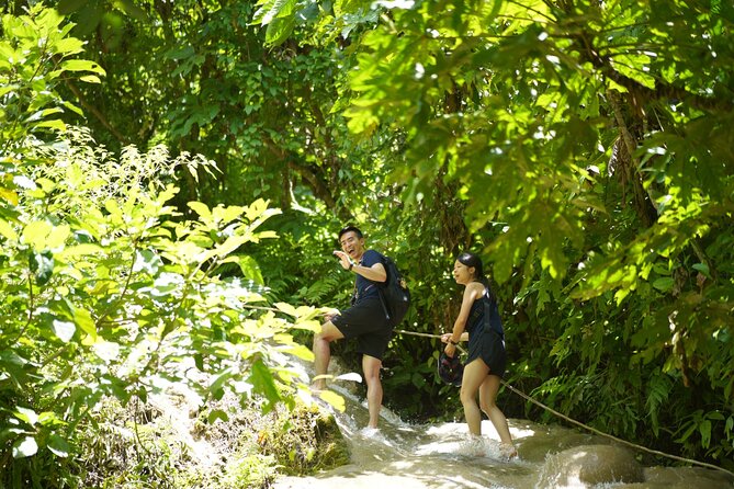 Bua Tong Waterfall Adventure& Huge Cave included Thai Buffet Tour - Thai lunch and snacks plan: where the food fits in