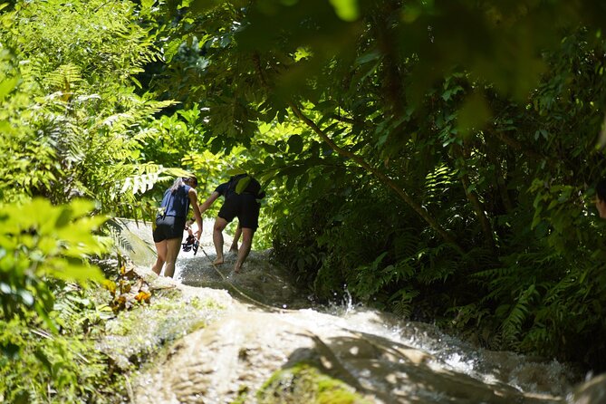 Bua Tong Waterfall Adventure& Huge Cave included Thai Buffet Tour - Who this tour is best for in Chiang Mai
