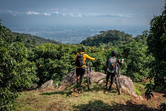 Buffalo Soldier Full Day Mountain Biking Tour Chiang Mai - Key points before you commit