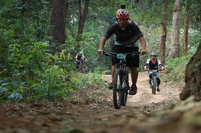 Buffalo Soldier Full Day Mountain Biking Tour Chiang Mai - Price and value: what you are really paying for at $114.03