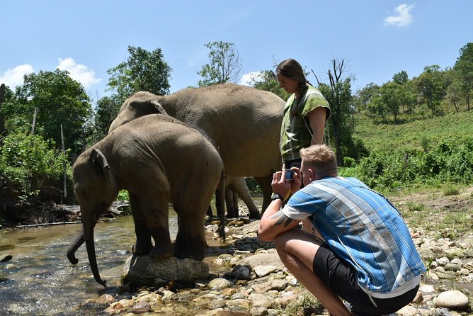 Care Pride Elephants: Full-Day Tour Experience - Group size in the real world: why it feels calmer than bigger elephant tours