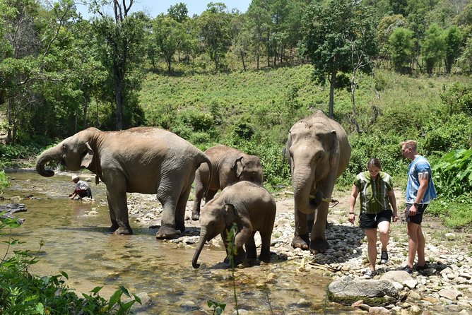 Care Pride Elephants: Full-Day Tour Experience - Getting ready: shoes, insects, and how not to lose your favorite clothes