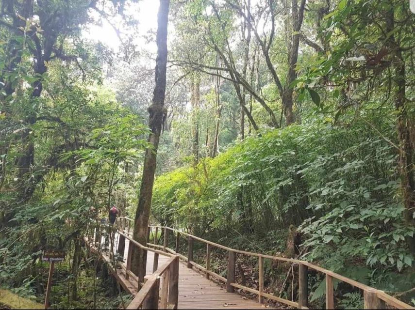 Chang Mai: Doi Inthanon Day Tour w/Waterfalls & Hilltribes - Up to 2,565 meters: Doi Inthanon’s highest peak views