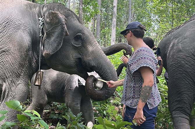 Chiang Mai 1 Day: Elephant Sanctuary, Waterfall & Bamboo Rafting - Mae Saphok Waterfall lunch: Thai food by the water, then rafting time