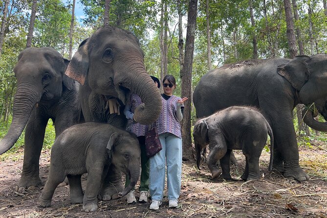 Chiang Mai 1 Day: Elephant Sanctuary, Waterfall & Bamboo Rafting - What the small group size changes for you
