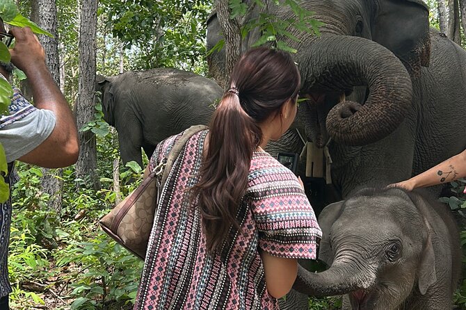 Chiang Mai 1 Day: Elephant Sanctuary, Waterfall & Bamboo Rafting - Who this tour is best for