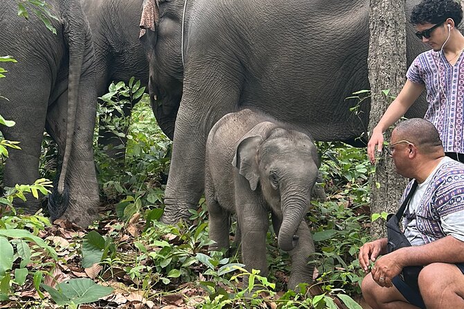 Chiang Mai 1 Day: Elephant Sanctuary, Waterfall & Bamboo Rafting - Should you book this Chiang Mai 1 Day Elephant, Waterfall, and Bamboo Rafting tour?