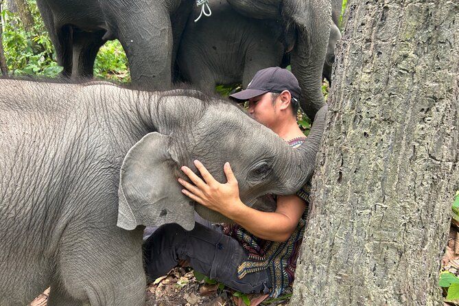 Chiang Mai 1 Day: Elephant Sanctuary, Waterfall & Bamboo Rafting - Doi Inthanon Elephant Sanctuary: ethical care and real elephant contact