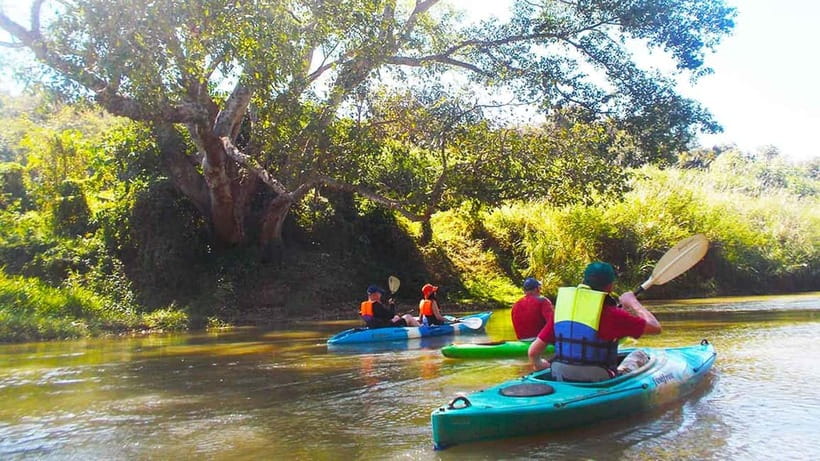 Chiang Mai: 15 km Leisure River Kayaking at Mae Ngat forest - Price and Value: What $62 Buys You on This Chiang Mai Kayak Day