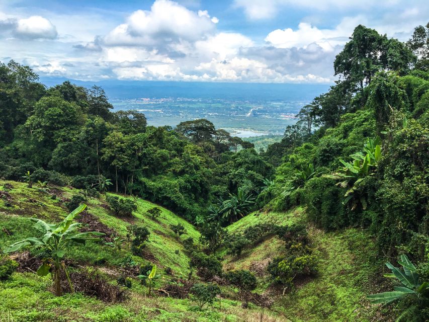 Chiang Mai: 20km Downhill Mountain Biking Challenge Suthep M - Main Descent Energy, The Parts That Make You Grin