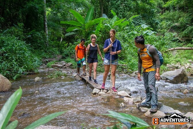 Chiang Mai 4 in 1 : 2 days - 1 Nights. Elephants Camp + Adventure - Day 2 Trekking, Views, Bamboo Water Time, and Waterfall Bathing
