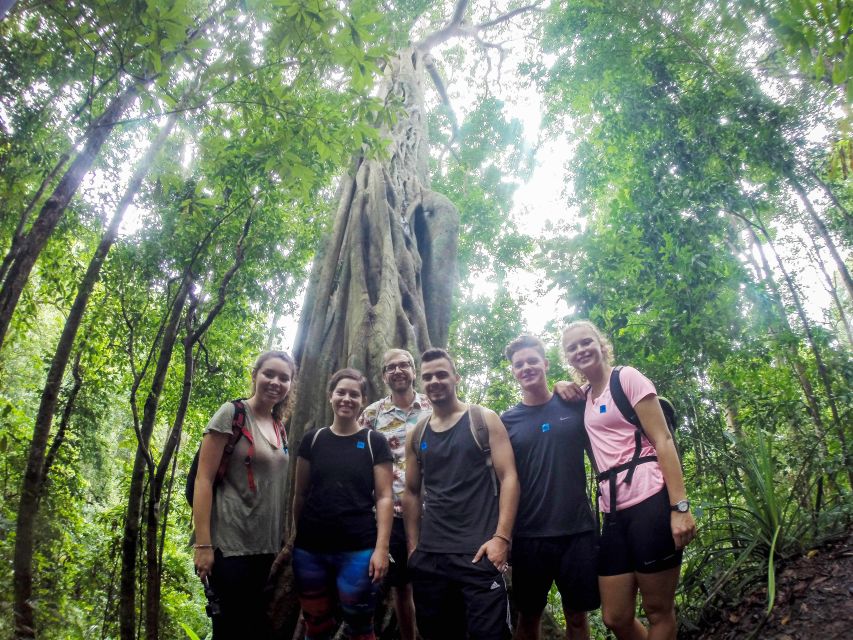 Chiang Mai: 7-Hour Doi Suthep National Park Summit Hiking - Key Things I’d Plan for on This Hike