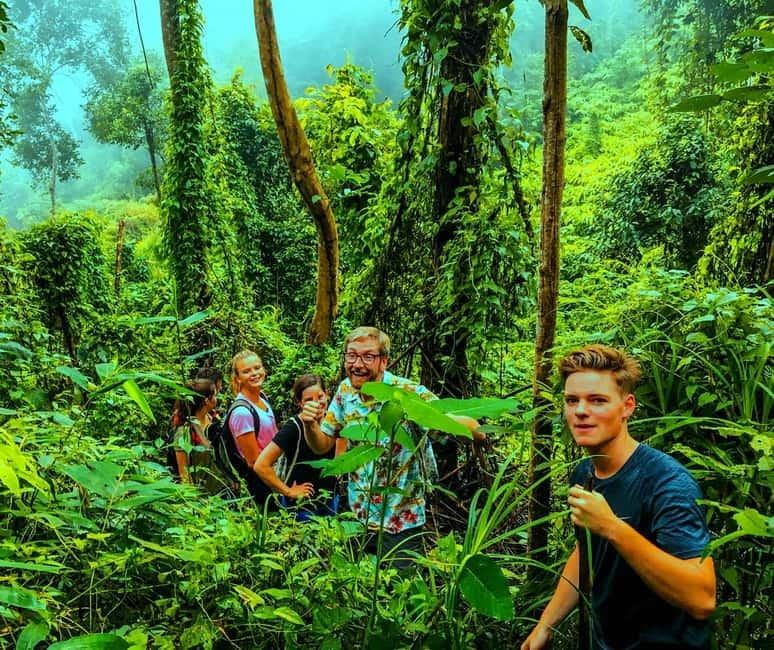 Chiang Mai: 7-Hour Doi Suthep National Park Summit Hiking - Quick Tips That Make a Big Difference