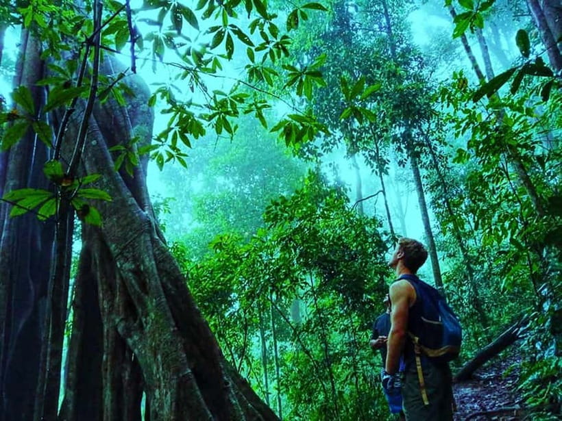 Chiang Mai: 7-Hour Doi Suthep National Park Summit Hiking - Doi Suthep-Pui National Park Summit Hiking to Doi Pui