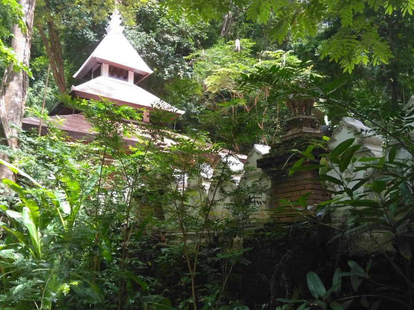 Chiang Mai: 7-Hour Doi Suthep National Park Summit Hiking - Price and Value, Why $60 Can Make Sense for a Long Trek