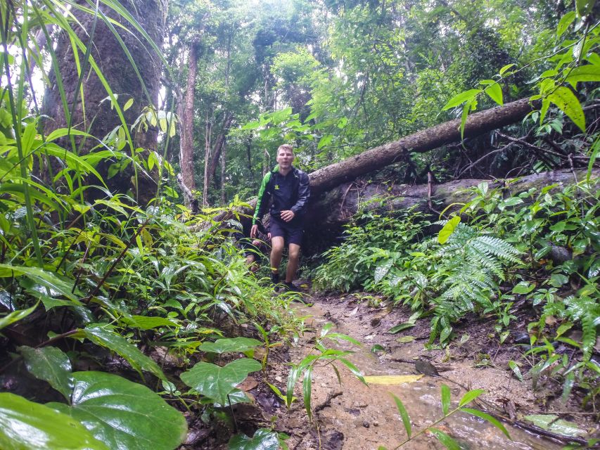 Chiang Mai: 7-Hour Doi Suthep National Park Summit Hiking - Who Should Book This, and Who Might Want a Gentler Option