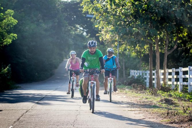 Chiang Mai Active E-bike Countryside Ride - Key things I’d pencil into your day