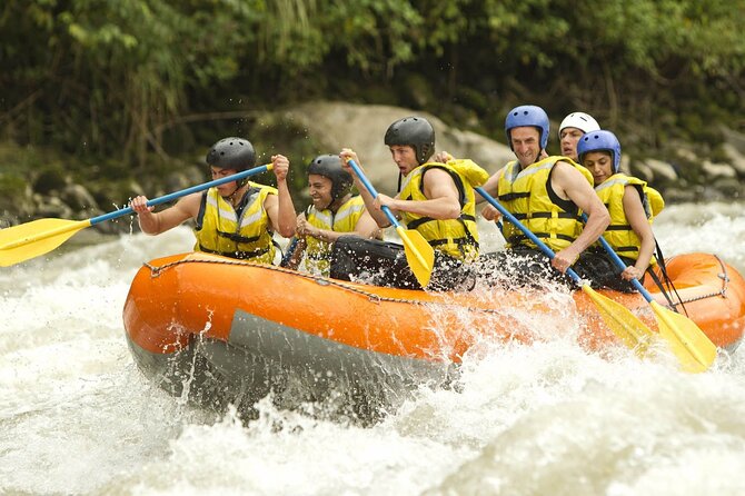 Chiang Mai ATV White Water Rafting and Elephant Sanctuary Full-Day Trip - The Big Picture: A Mixed Day of Rice Fields, River Time, and Elephant Rescue
