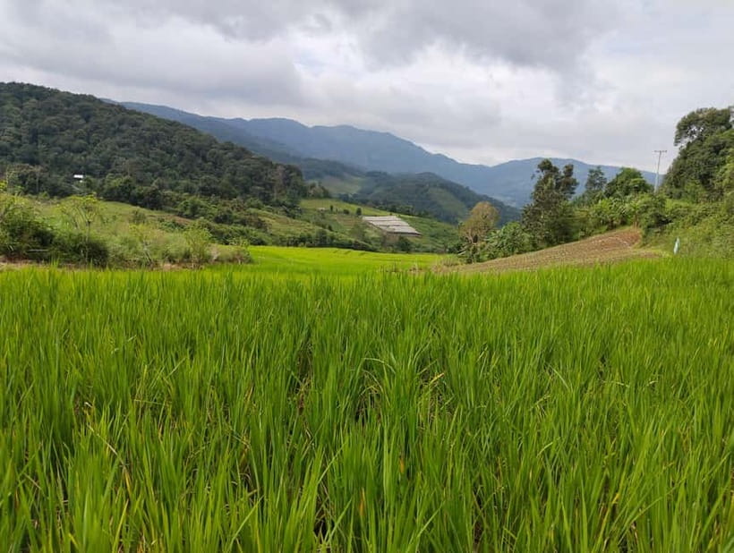 Chiang Mai Authentic Trekking - Khun Poi Karen village and the schoolyard moment