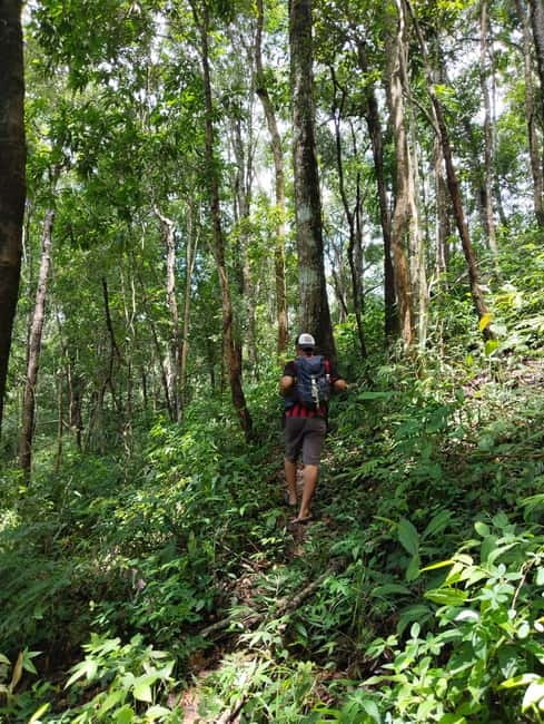 Chiang Mai Authentic Trekking - Phalai Mountain peak: hard effort, wide valley views