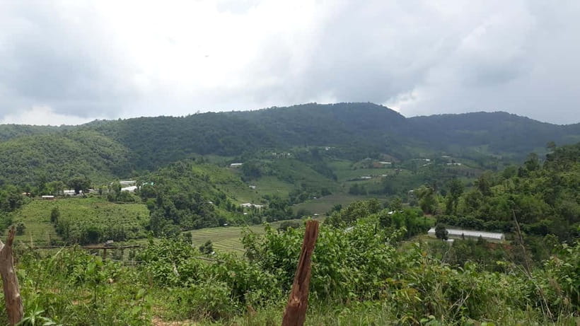 Chiang Mai Authentic Trekking - Hill tribe farms after lunch: crops that make the scenery practical