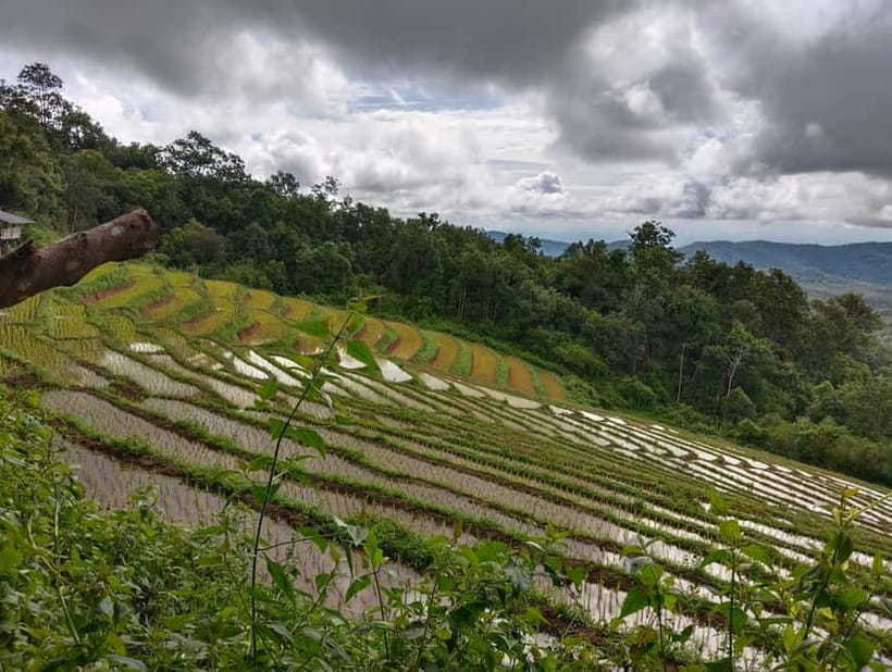 Chiang Mai Authentic Trekking - Who this trek suits best, and who should skip it