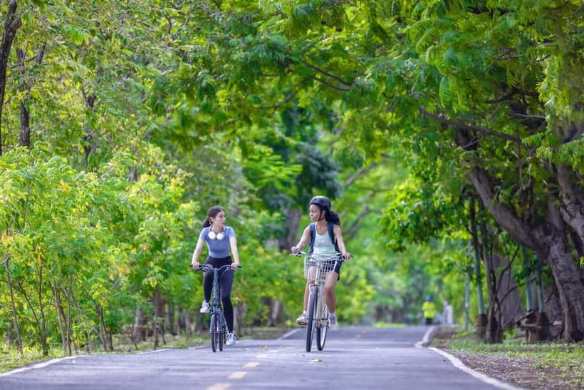 Chiang Mai Bicycle: Into The Lanna Countryside Guided Tour - Timing, group size, and road crossings to keep in mind