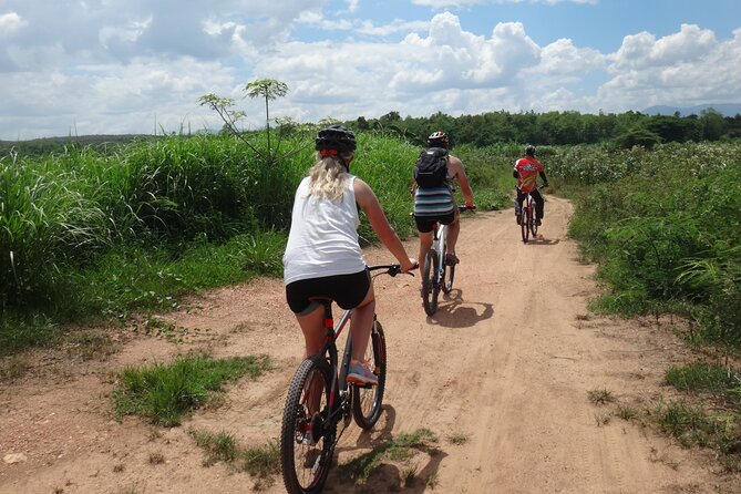 Chiang Mai Biking & River Kayak : Gentle Thrills in a Lush Valley - Lunch at Mango Plantation Restaurant: a practical reset