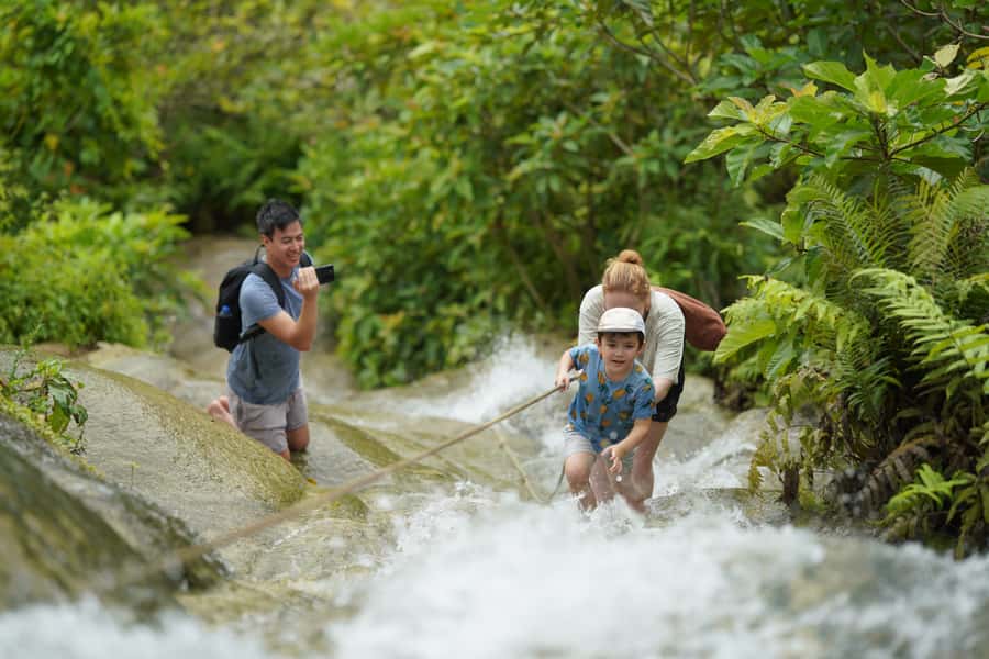 Chiang Mai: Bua Thong Sticky Waterfall & Huge Cave & Buffet - Bua Tong Cave: legend, steps, and why it is not just a detour
