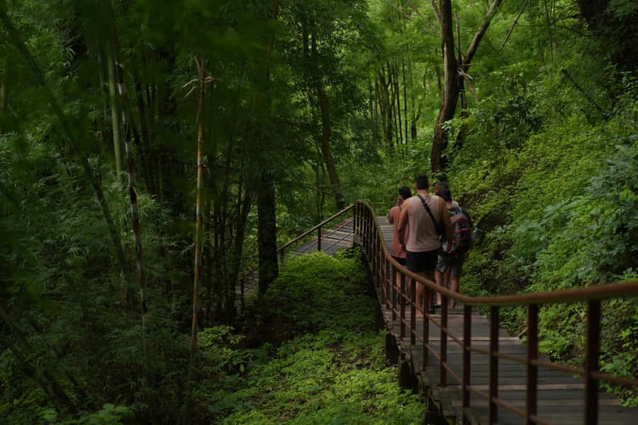 Chiang Mai: Bua Thong Sticky Waterfall & Huge Cave & Buffet - Nam Phu Chet Si seven-color fountain: the calm break between climbs
