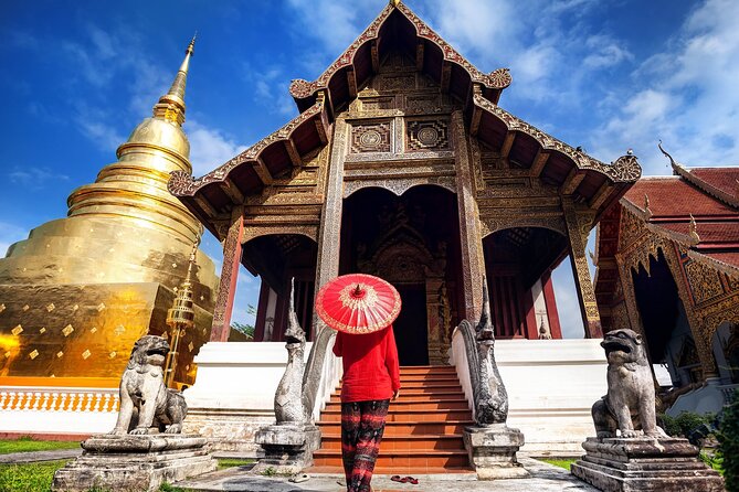 Chiang Mai City Tuk Tuk Tour - Half Day - What kind of guide experience to expect