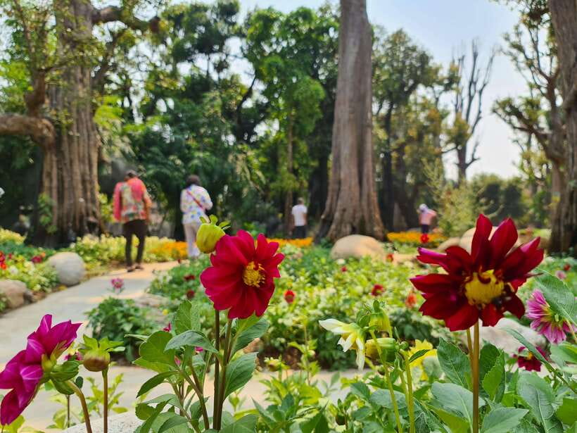 Chiang Mai: Dantewada Land of Angels & Sticky Waterfall Tour - What to bring (and what to wear) so you enjoy the climb