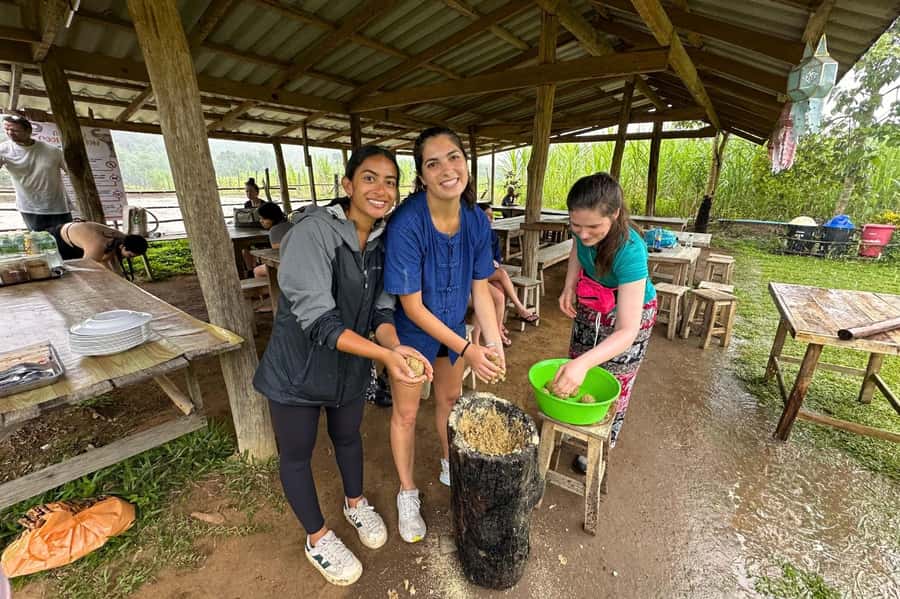 Chiang Mai: Day for Elephant Observation Only Half-day Trip - Why Big Boy Elephant Sanctuary Changes the Usual Elephant Day