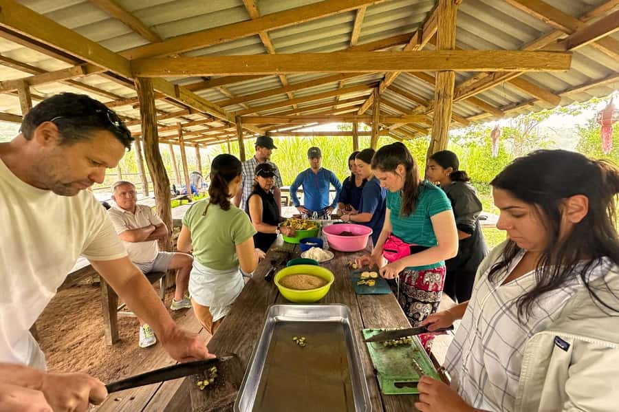 Chiang Mai: Day for Elephant Observation Only Half-day Trip - The No Control Rules You Will See in Action