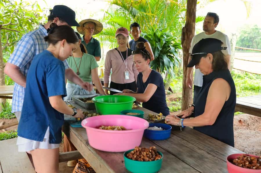 Chiang Mai: Day for Elephant Observation Only Half-day Trip - Value at About $46, and How to Judge Elephant Sanctuary Prices