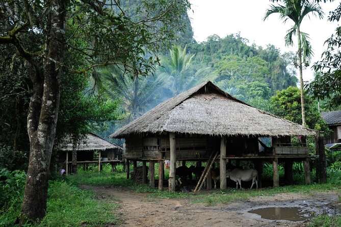 Chiang Mai Day Tour: Chiang Dao Cave and Hill Tribes - Comfort, packing, and the small decisions that prevent big problems
