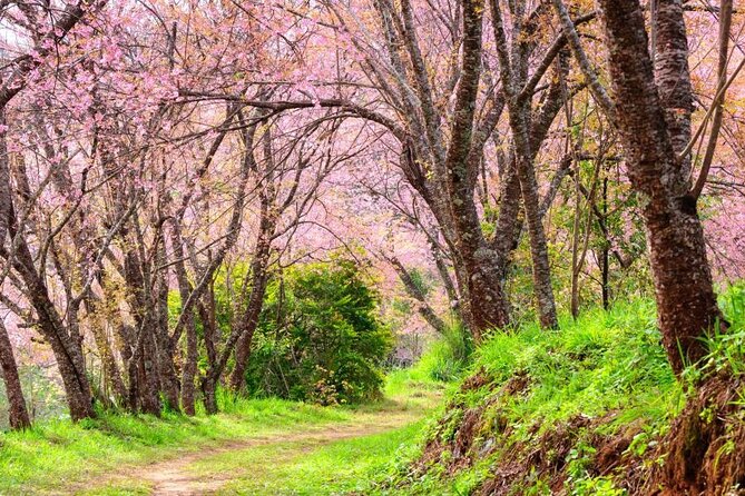 Chiang Mai - Doi Inthanon Full day Tour - Sirithan Waterfall: dramatic rock cliff energy