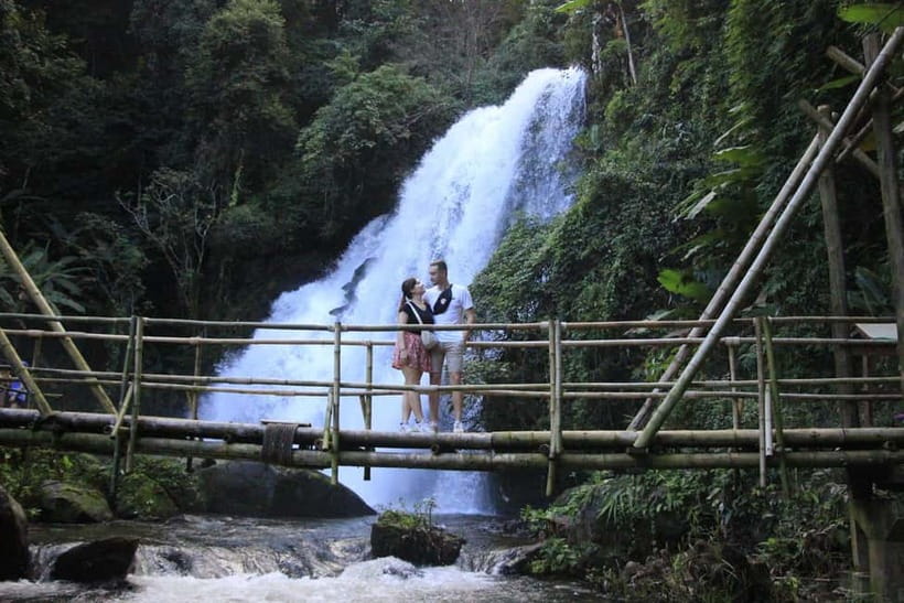 Chiang Mai: Doi Inthanon Hiking & Elephant Sanctuary Program - Should You Book This Chiang Mai Elephant and Doi Inthanon Tour?