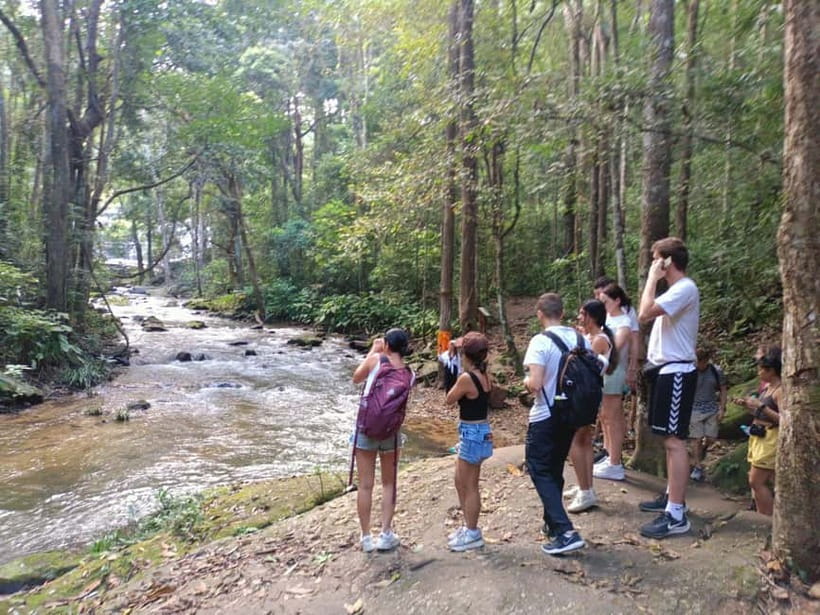 Chiang Mai: Doi Inthanon Hiking & Elephant Sanctuary Program - Practical Tips That Make the Difference in This Kind of Day