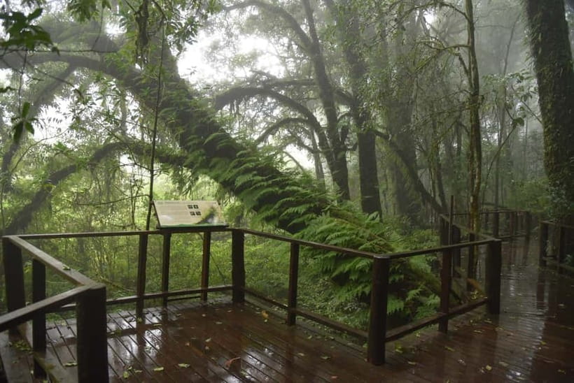 Chiang Mai: Doi Inthanon National Park and Kew Mae Pan Tour - Who this tour suits best (and who might feel rushed)