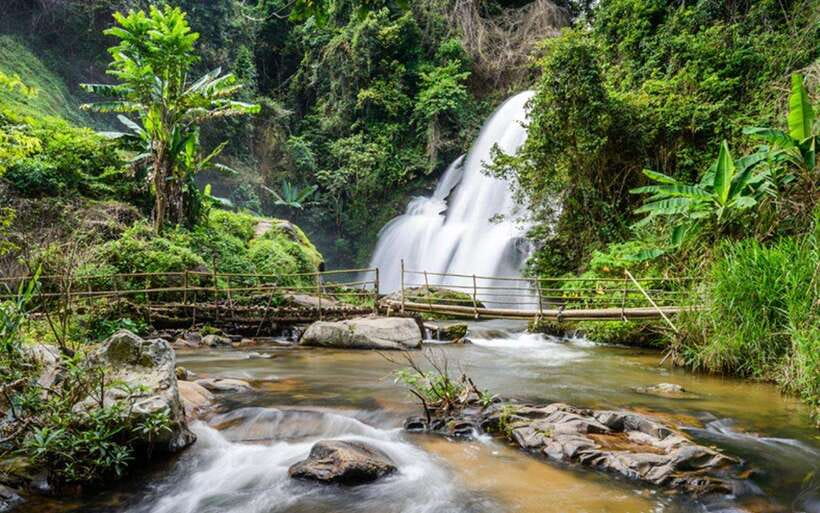 Chiang Mai: Doi Inthanon National Park and Pha Dok Siew Trek - Doi Inthanon feels different from Chiang Mai town
