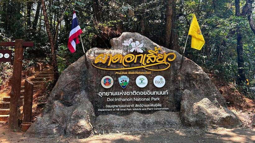 Chiang Mai: Doi Inthanon National Park and Pha Dok Siew Trek - National park photo stops, visitor-center snacks, and the pagoda break you will remember