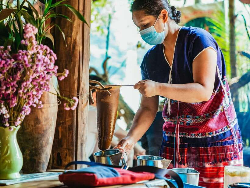 Chiang Mai: Doi Inthanon National Park Eco-Friendly Tour - Hill tribe village visit and the coffee brewing demo