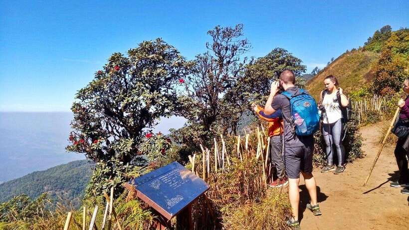 Chiang Mai:Doi Inthanon National Park & Hike at Kew Mae Pan - Doi Inthanon and Chiang Mai, the big reason this works